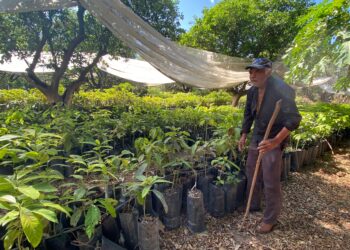 Manuel está ciego: Trabaja en un vivero