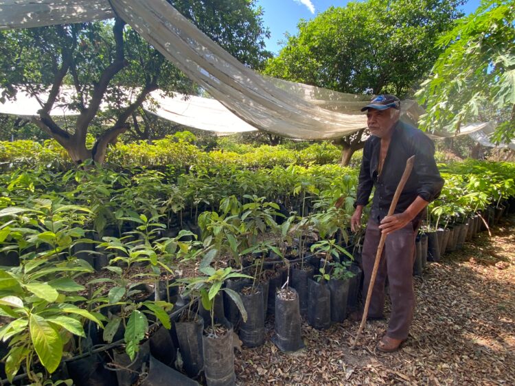 Manuel está ciego: Trabaja en un vivero