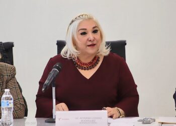 Inicia Tamaulipas canje de placas el lunes 6 de enero