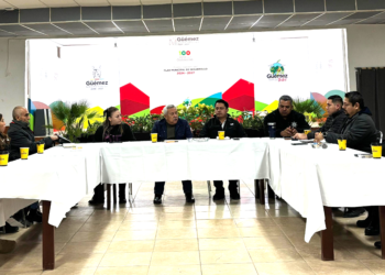 Bajas temperaturas: Sesión permanente del Consejo de Protección Civil de Guémez