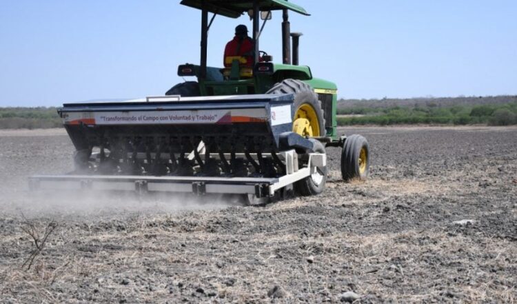 Facilita gobierno del estado sembradoras a productores de arroz