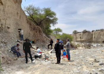 Apoya Guardia Estatal en traslado de presuntos restos de mamut encontrados en Tula