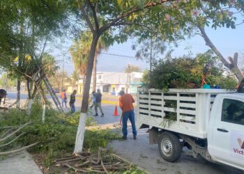 Fortalece municipio limpia y mantenimiento de vialidades y áreas verdes  