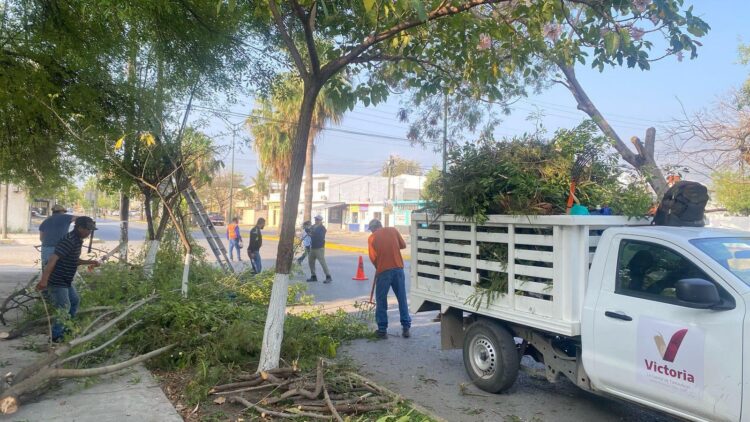 Fortalece municipio limpia y mantenimiento de vialidades y áreas verdes  