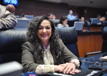 Imponer impuesto del 5% a remesas, medida injusta y arbitraria: Olga Sosa 