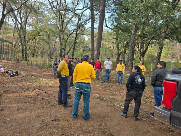 Coordinan acciones para el control del incendio forestal en Reserva de la Biosfera El Cielo