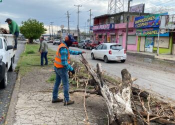 Activa municipio operativo de limpieza de drenes limpieza de drenes y vialidades en la ciudad.
