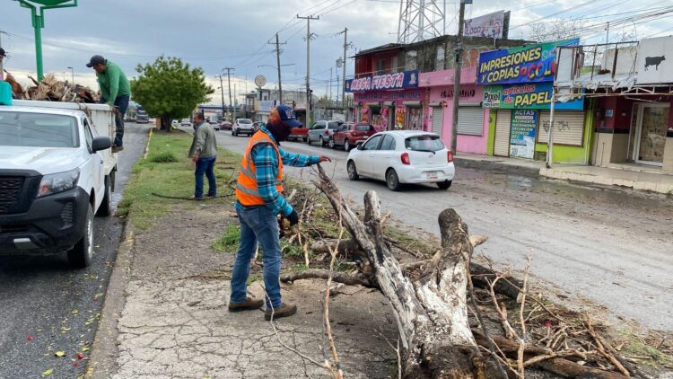 Activa municipio operativo de limpieza de drenes limpieza de drenes y vialidades en la ciudad.