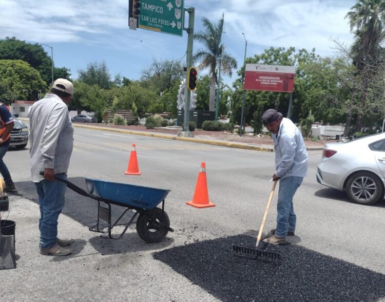 Intenso operativo de bacheo tras reportes por lluvias en la Capital.
