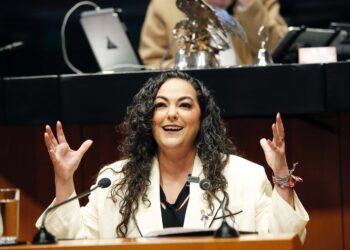 Aprueban exhorto de la senadora Olga Sosa para prevenir la contaminación de costas y mares mexicanos