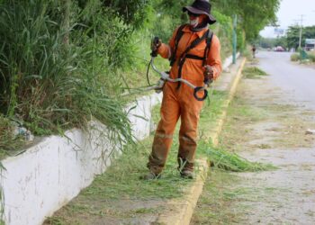 Limpia y da mantenimiento Municipio a 77 kilómetros de vialidades y áreas verdes.