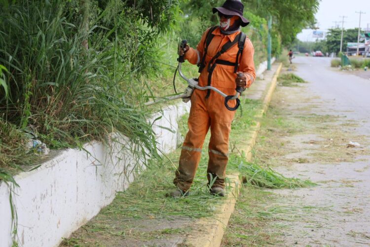 Limpia y da mantenimiento Municipio a 77 kilómetros de vialidades y áreas verdes.