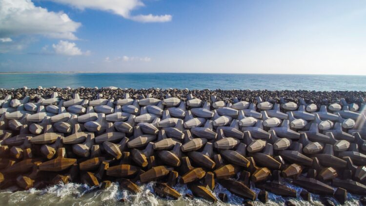 Nace el Puerto del Norte