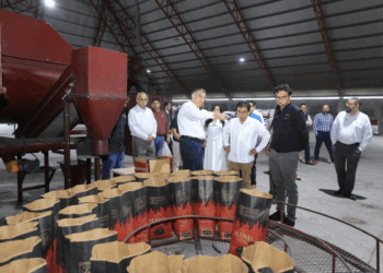 Avanza planta de combustibles limpios en Tamaulipas, con inversión de 6 mil 500 MDD