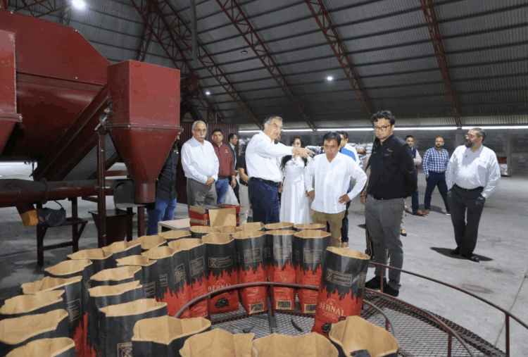 Avanza planta de combustibles limpios en Tamaulipas, con inversión de 6 mil 500 MDD