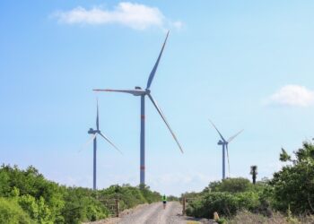 Tamaulipas aspira a ser el principal estado productor de energía eólica del país