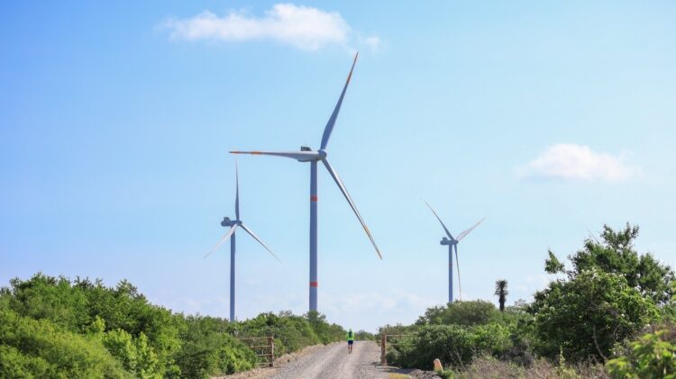 Tamaulipas aspira a ser el principal estado productor de energía eólica del país