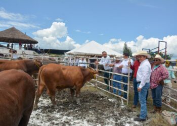 Reitera Gobierno del Estado su compromiso con el sector ganadero