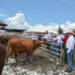 Reitera Gobierno del Estado su compromiso con el sector ganadero