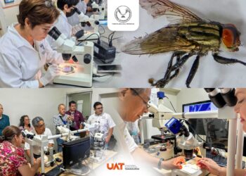 Colabora la UAT en medidas preventivas contra el gusano barrenador