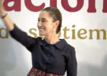 Claudia: Informe “a domicilio”