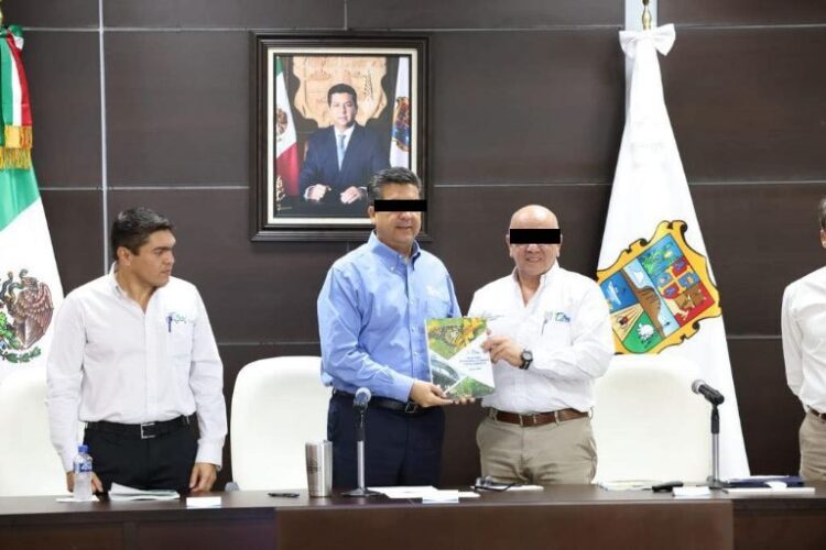 Varias perpetuas