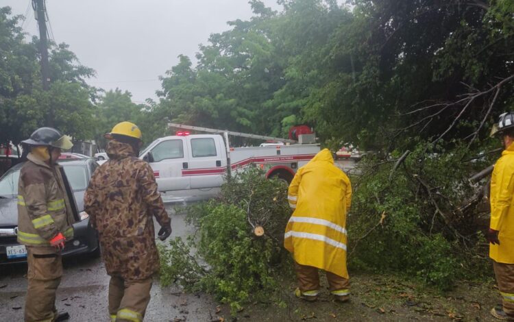 Activa y mantiene Gobierno de Victoria acciones de auxilio a la población por intensa lluvia