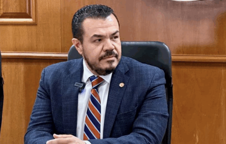 Van por los mercenarios