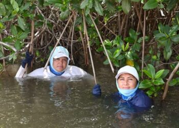 «Te de Agua Salada», película de mujeres pescadores, gratis en escuelas Cd. Victoria