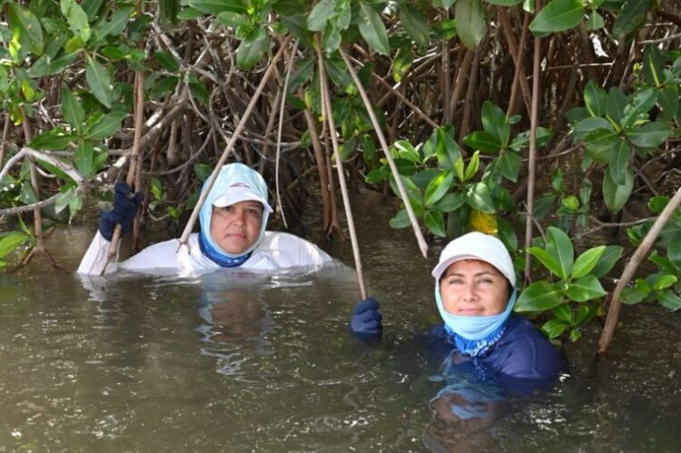 «Te de Agua Salada», película de mujeres pescadores, gratis en escuelas Cd. Victoria