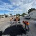 Aplica Municipio plan de bacheo en fin de semana.