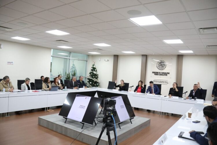 El apriete que viene: Aprueban programa de auditoría 2026