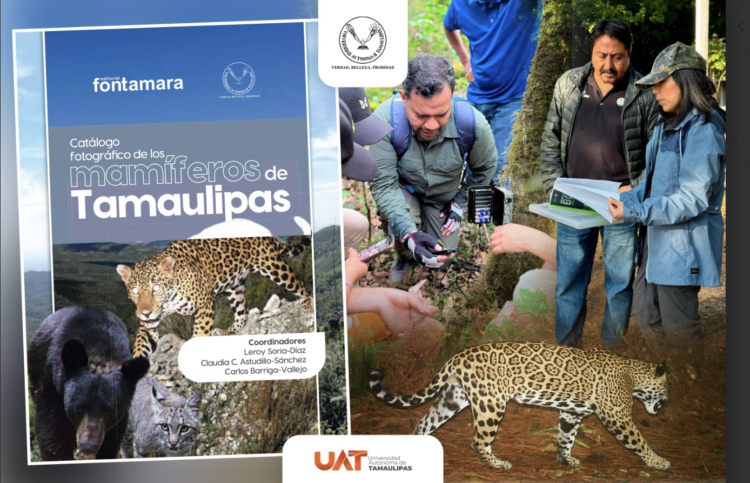 Difunde la UAT catálogo fotográfico de los mamíferos de Tamaulipas