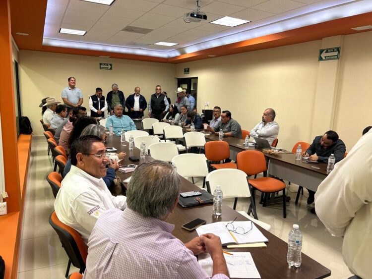 Impulsan en Tamaulipas nuevos créditos para productores de sorgo