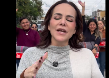 Carmen Lilia: Imagen de naipes con voluntades rentadas