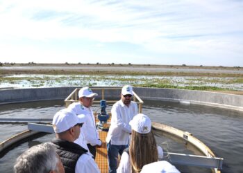 Avanza modernización de la PTAR Oeste de Matamoros