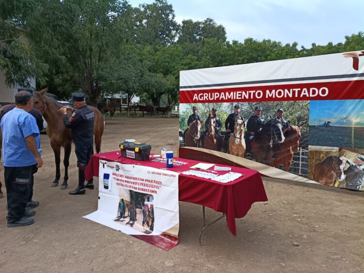 Implementa Guardia Estatal campaña permanente contra gusano barrenador en animales policiales