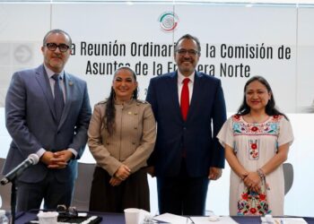 Comisión de Asuntos de la Frontera Norte tendrá audiencia pública en Tamaulipas: senadora Olga Sosa Ruíz