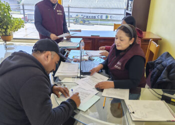 Paga AGRICULTURA más de mil 800 mdp a productores de maíz blanco y amarillo