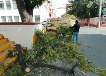 Activa Municipio operativo de limpieza y prevención por fuertes vientos en Victoria.