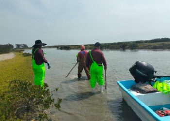 Impulsan desarrollo de granjas de ostión en Aldama y San Fernando