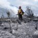 Tamaulipas logra la liquidación total del incendio forestal en Bustamante