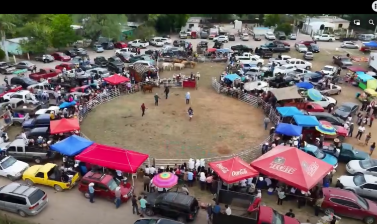 Ejido Las Crucitas se viste de fiesta: 97 años de historia, trabajo y comunidad