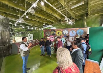 Coordinan estrategia para evitar propagación del gusano barrenador en fauna silvestre