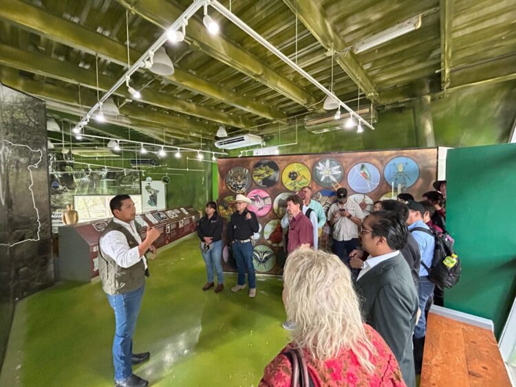 Coordinan estrategia para evitar propagación del gusano barrenador en fauna silvestre