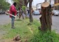 Limpieza de espacios públicos en Victoria es permanente.