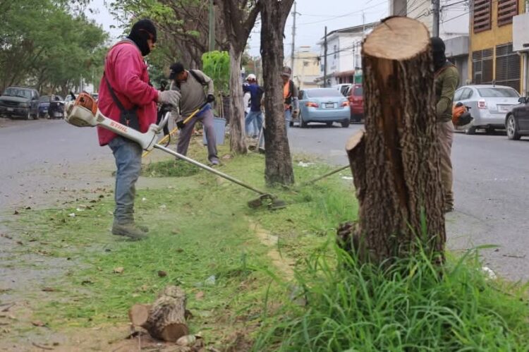 Limpieza de espacios públicos en Victoria es permanente.