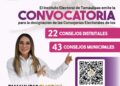 Jugosas pixcachas electorales