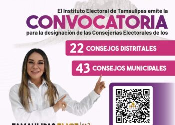 Jugosas pixcachas electorales