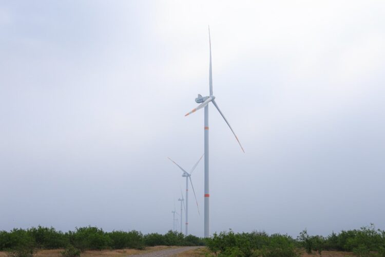 Incrementará Tamaulipas más de 2500 MW con proyectos eólicos